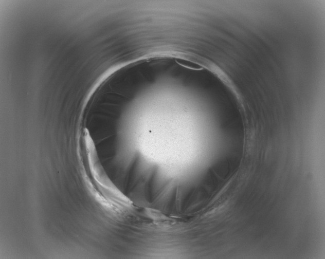 X0000077980955200611101659
