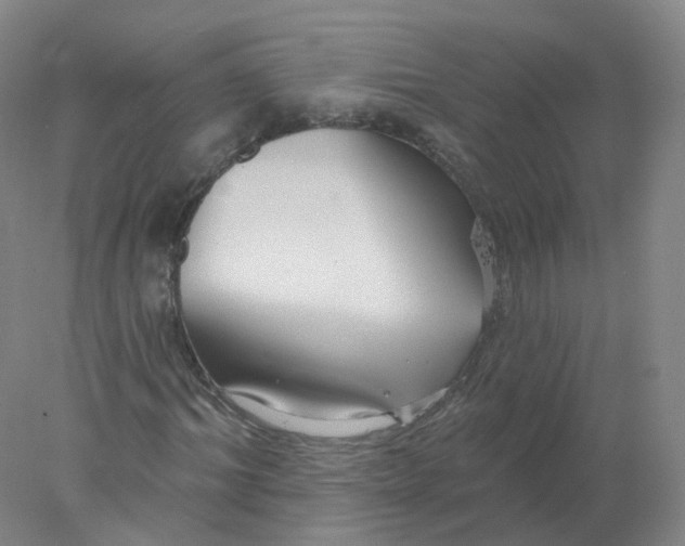 X0000077980964200611101658