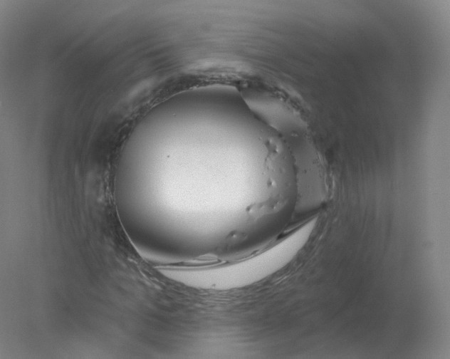 X0000077980965200611101658