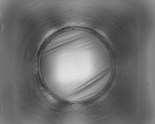 X0000077980974200611101658