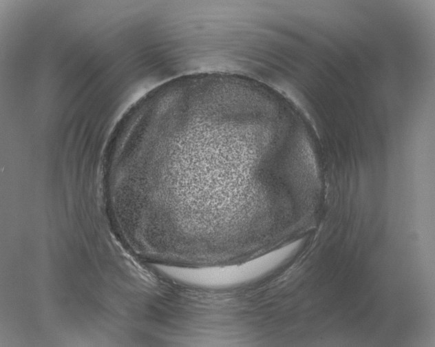 X0000077980975200611101658