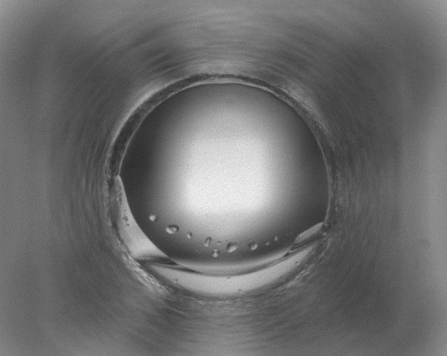 X0000077980976200611101658