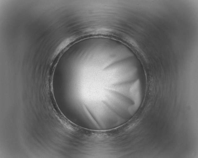 X0000077980978200611101658
