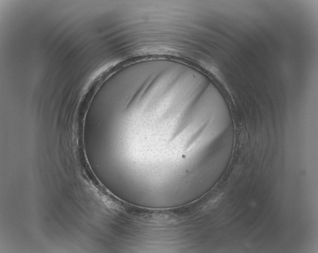 X0000077980979200611101658