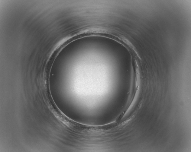 X0000077980981200611101658