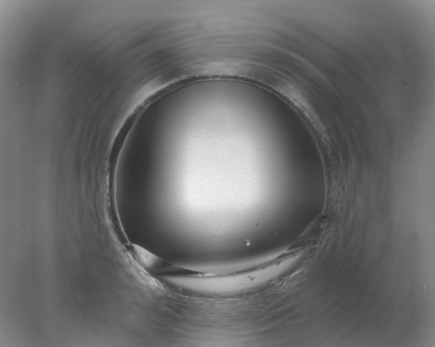 X0000077980992200611101657