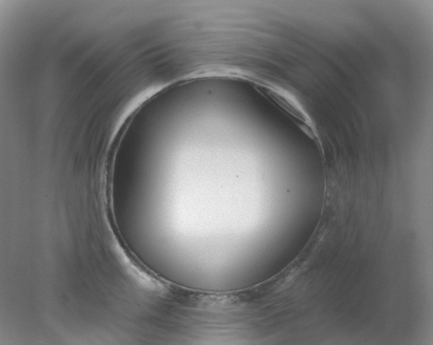 X0000077981003200611101657