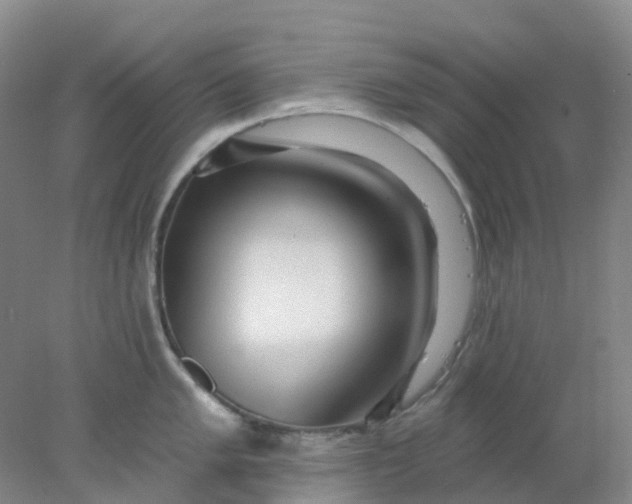 X0000077981005200611101657