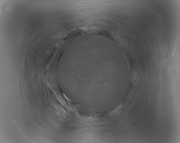 X0000077981010200611101656