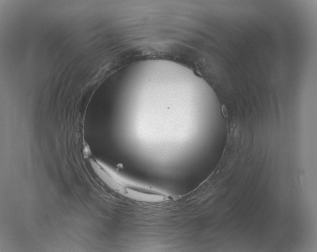 X0000077981012200611101656