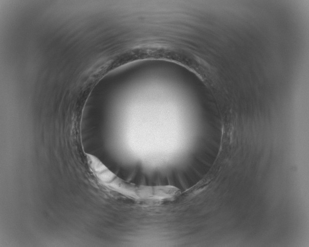 X0000077981014200611101656