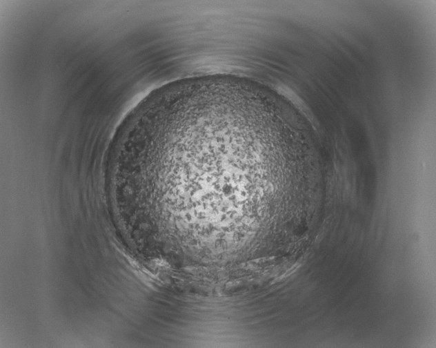 X0000077981023200611101657