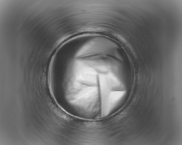 X0000077981025200611101657
