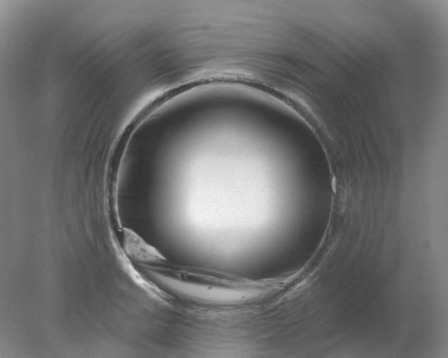 X0000077981038200611101657