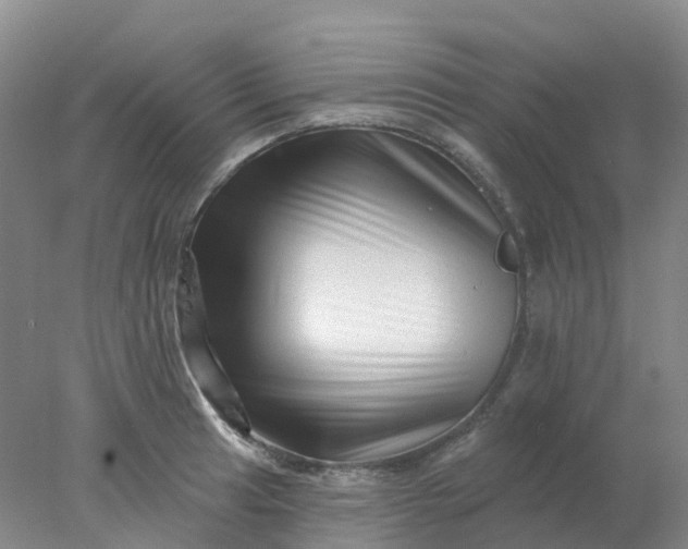 X0000077981041200611101657