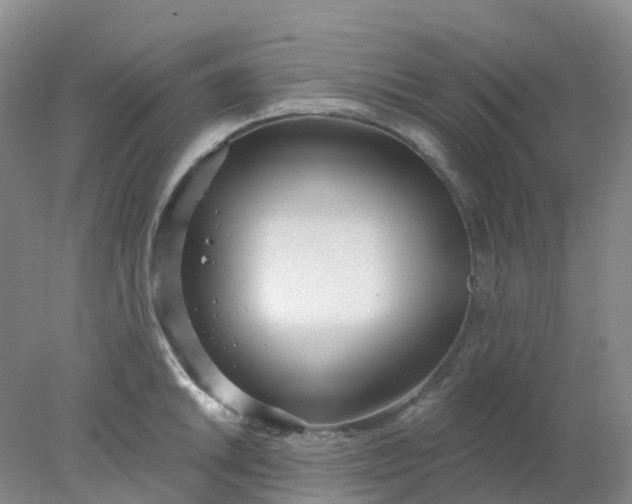 X0000077981046200611101657