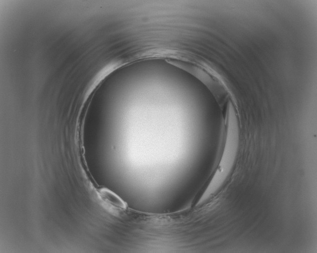 X0000077981050200611101657
