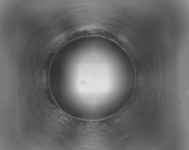 X0000077981062200611101656