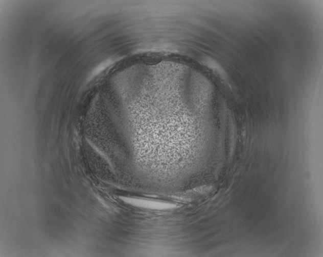 X0000077981064200611101656