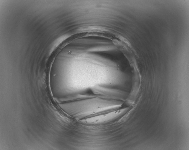 X0000077981066200611101656
