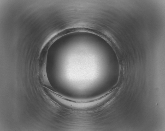 X0000077981069200611101656