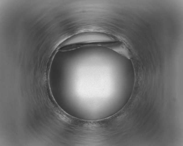 X0000077981073200611101656