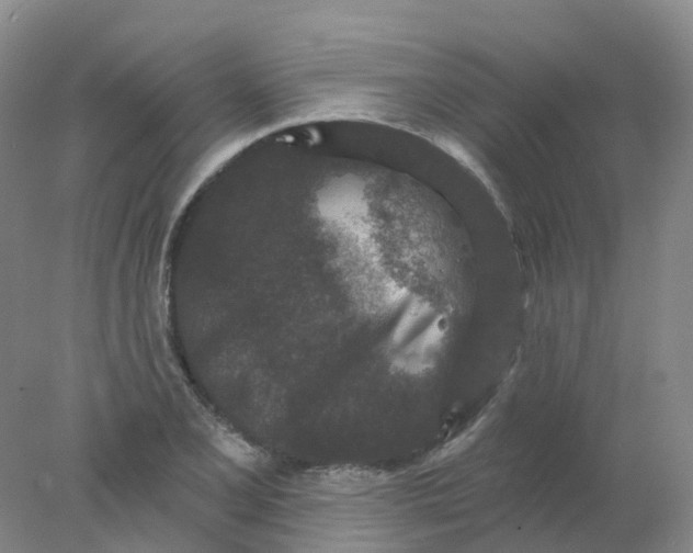 X0000077981077200611101656