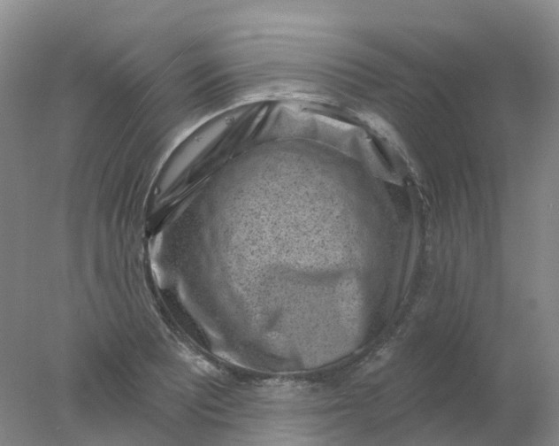X0000077981081200611101656