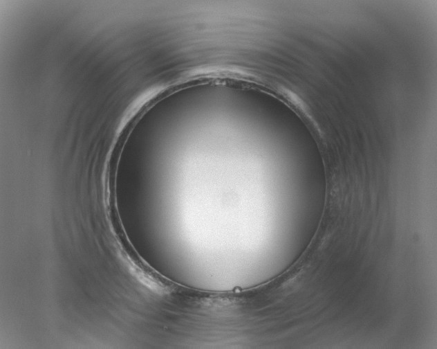 X0000077981082200611101656