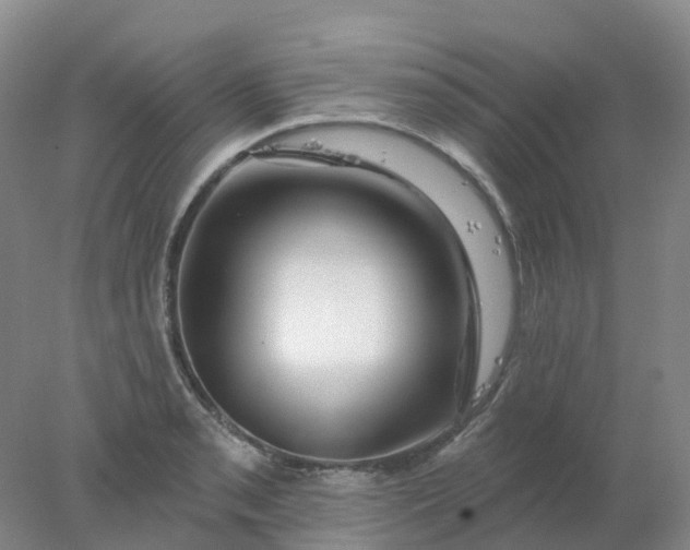 X0000077981085200611101656