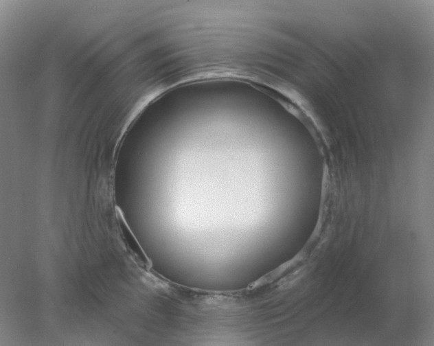 X0000077981097200611101656
