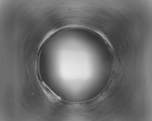 X0000077981101200611101656