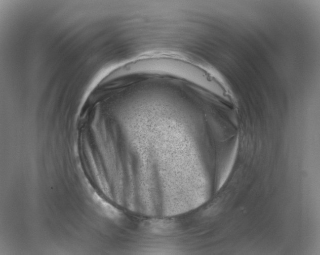 X0000077981102200611101656