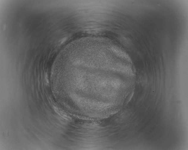 X0000077981106200611101655