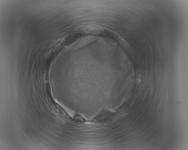X0000077981108200611101655