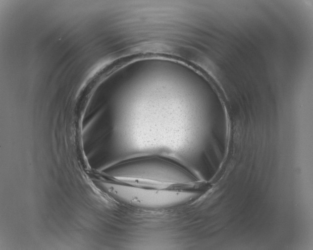 X0000077981115200611101655