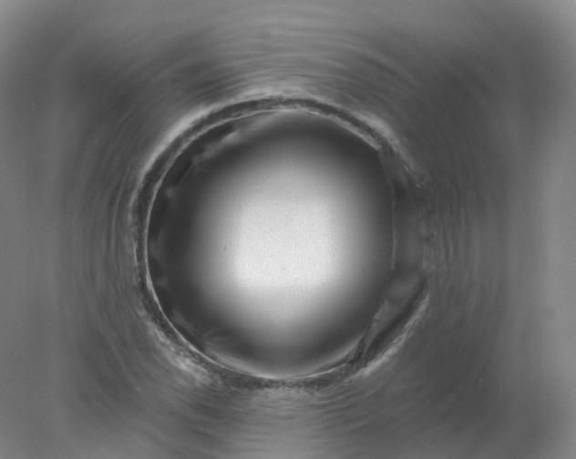 X0000077981118200611101655