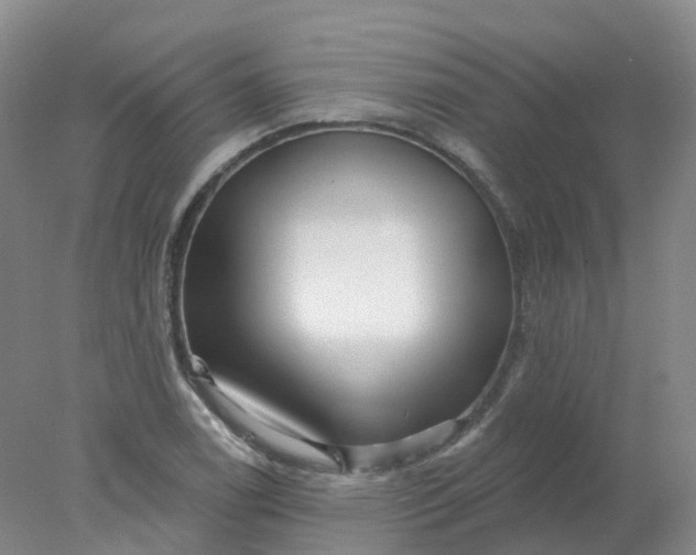 X0000077981122200611101655