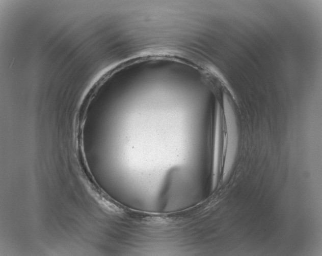 X0000077981124200611101655