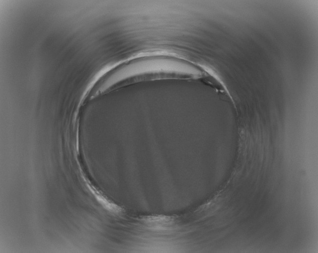 X0000077981127200611101655