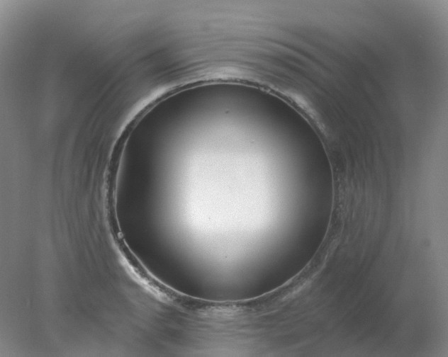 X0000077981134200611101655