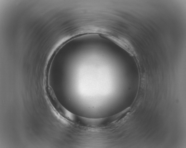X0000077981136200611101655