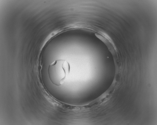 X0000077981146200611101655