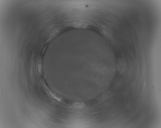 X0000077981154200611101655
