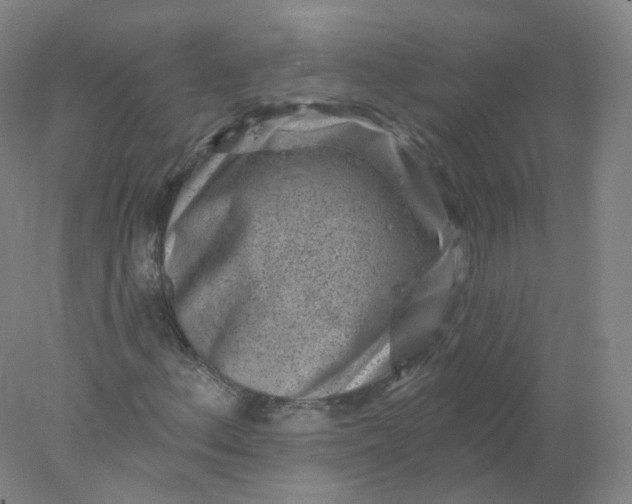 X0000077981156200611101655