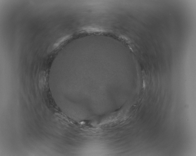 X0000077981157200611101655