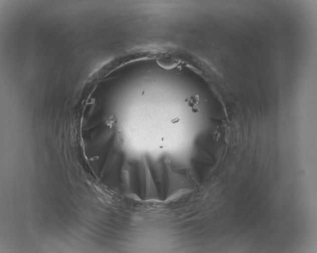 X0000077981158200611101655