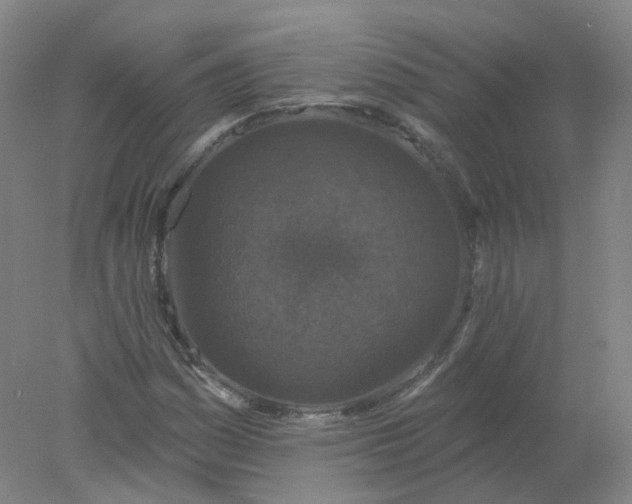 X0000077981161200611101655