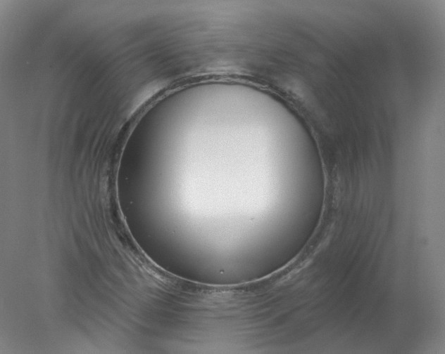 X0000077981162200611101655