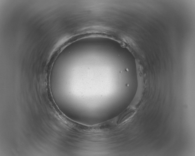X0000077981164200611101655